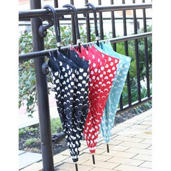 �J���[�o���G�[�V����