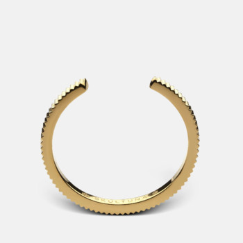 一つの指輪 B GJVR0323__OC ねこ ブラックカルセドニー リング｜リング・指輪