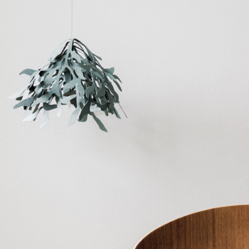 北海道ヤドリギ フライングリース 宿木 合格祈願 縁起物 No.7希少 オス