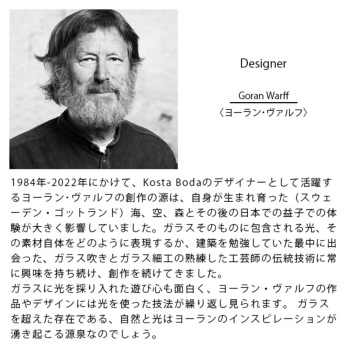 コスタ ボダ VISION ディッシュ ピンク/アンバー オブジェ コスタボダ